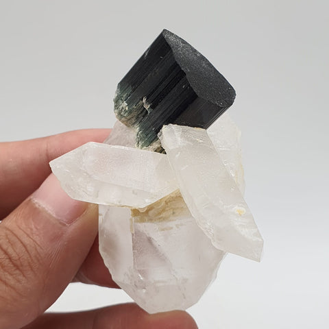 Green Cap Schorl Crystal On Double Terminated Quartz
