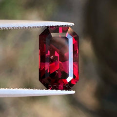 Tanzania Garnet