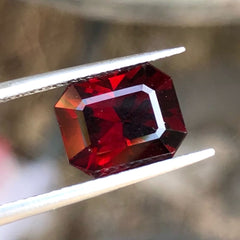 3.70ct Loose Rhodolite Garnet