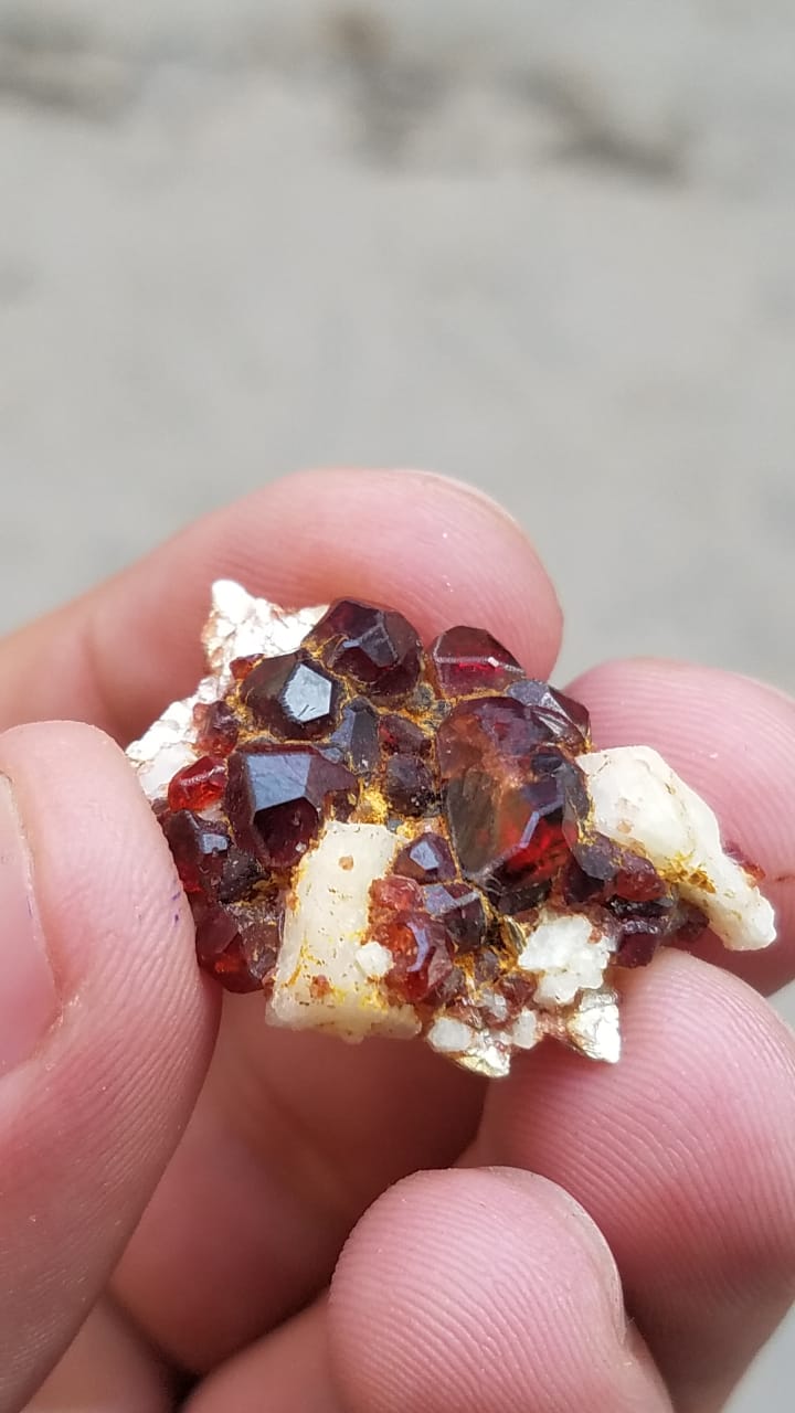 A very good and rare collection of Garnet Specimens