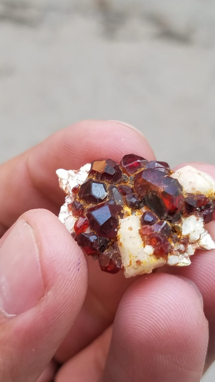 A very good and rare collection of Garnet Specimens