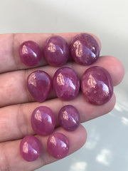 Beautiful ruby Cabochons for sale