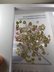 Watermelon tourmaline slices lot available for sale