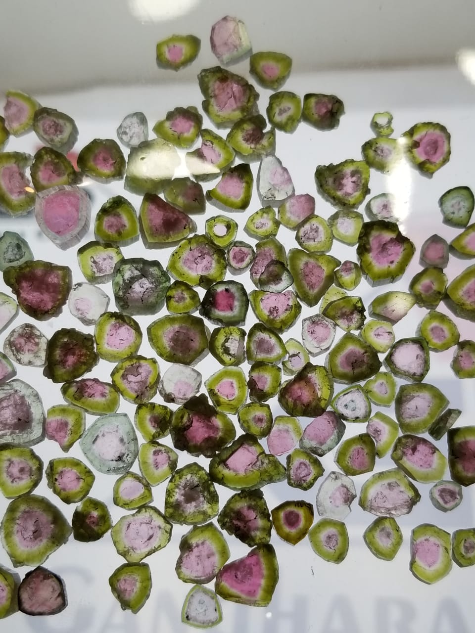 Watermelon tourmaline slices lot available for sale