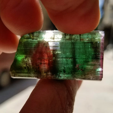 Gorgeous watermelon tourmaline crystal for sale