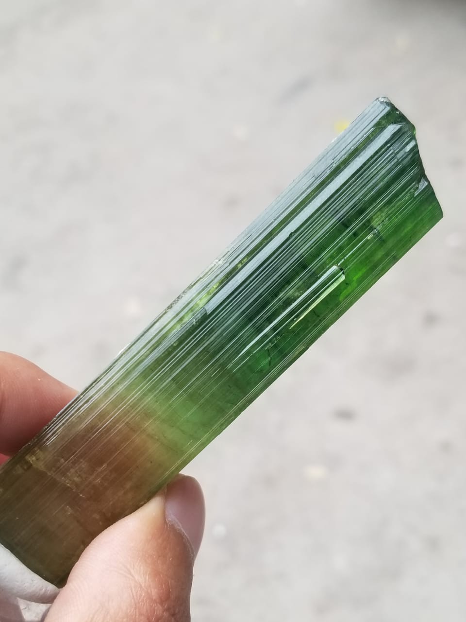Bicolor Natural Terminated Tourmaline crystal available for sale