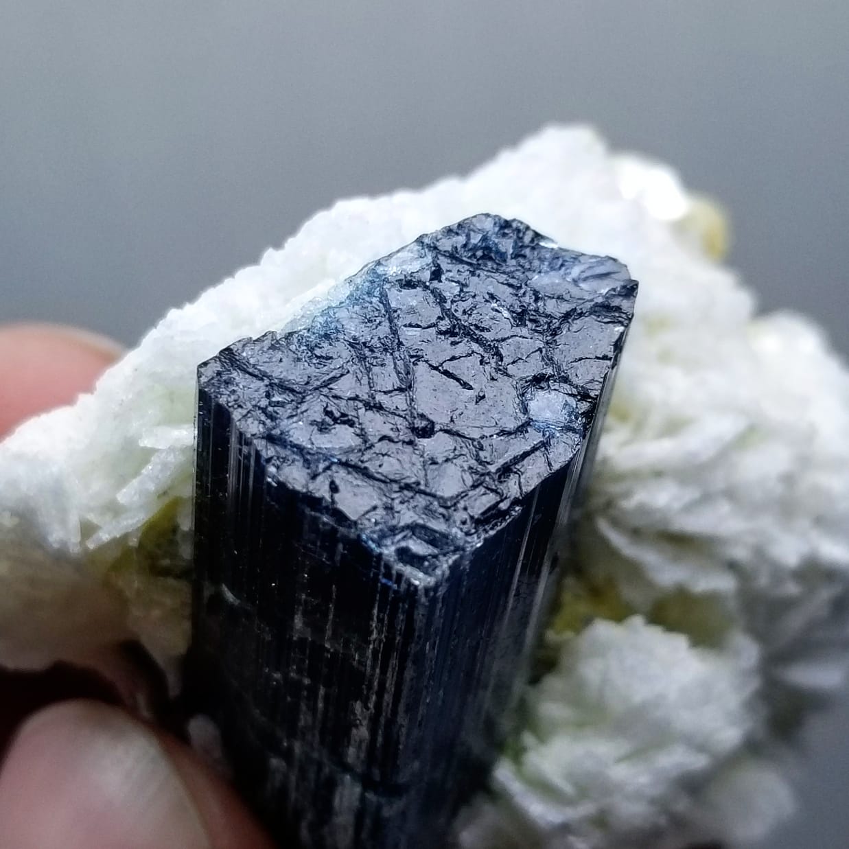 Blue Cap Tourmaline specimen with unique termination available for sale
