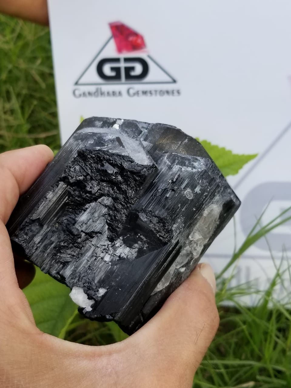 Black Tourmaline Crystals lot Available for sale