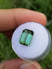 Beautiful Faceted Octagonal Cut Green Tourmaline