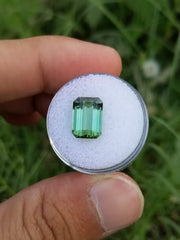 Beautiful Faceted Octagonal Cut Green Tourmaline