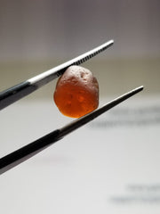 4 Pieces of Facet Grade Rough Hessonite Garnet