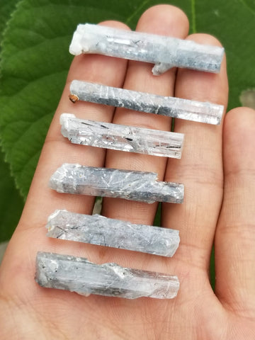 Schrol included unique aquamarine crystals lot available for sale