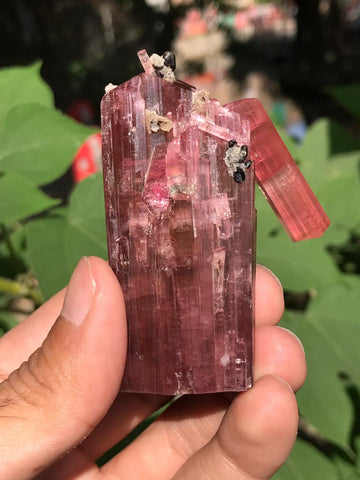 Self standing position Tourmaline crystal from Kunar mine available for sale