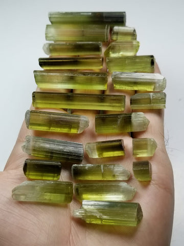 Greenish yellow color facet Grade Tourmaline lot available for sale