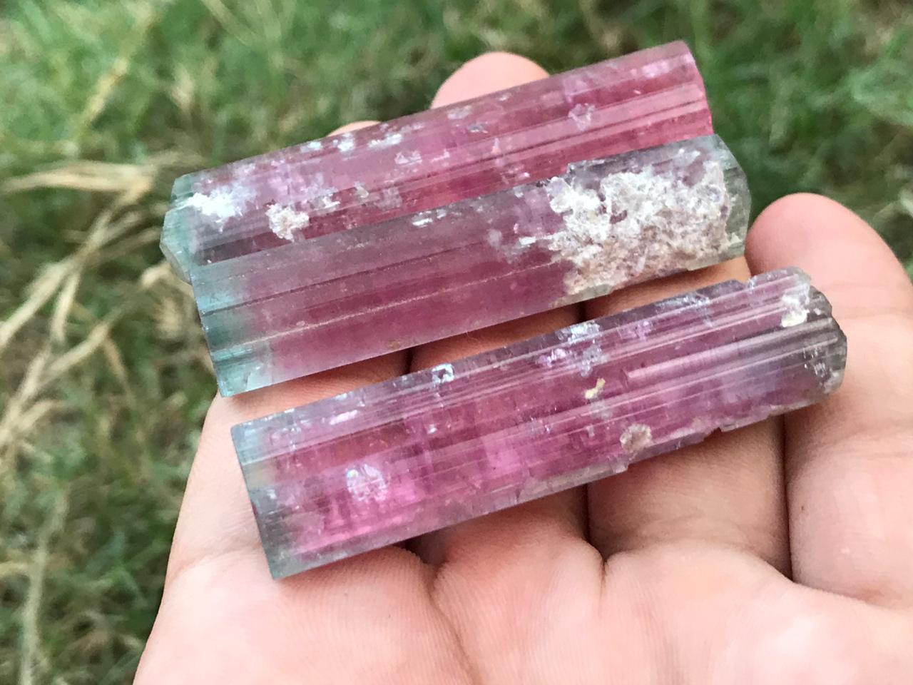 Blue cap DT pink tourmaline crystals from Kunar
