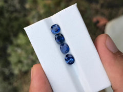 Beautiful Faceted lot of blue Sapphire available for sale