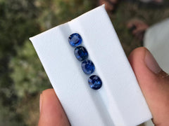 Beautiful Faceted lot of blue Sapphire available for sale