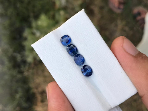Beautiful Faceted lot of blue Sapphire available for sale