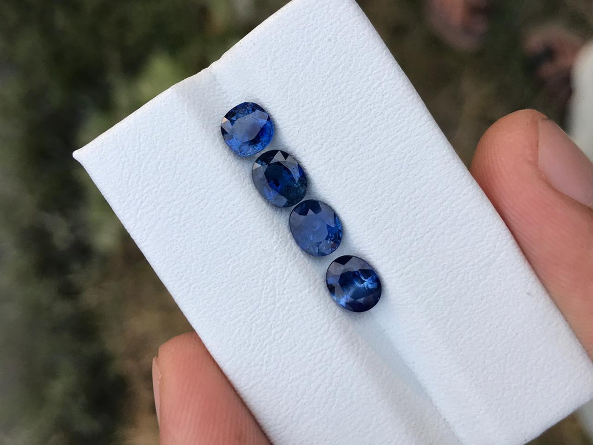 Beautiful Faceted lot of blue Sapphire available for sale