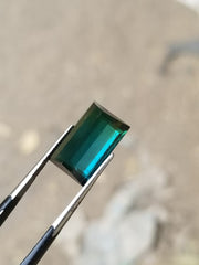 Pair of greenish blue Tourmaline Available for Sale