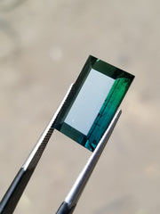 Pair of greenish blue Tourmaline Available for Sale