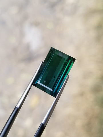 Pair of greenish blue Tourmaline Available for Sale