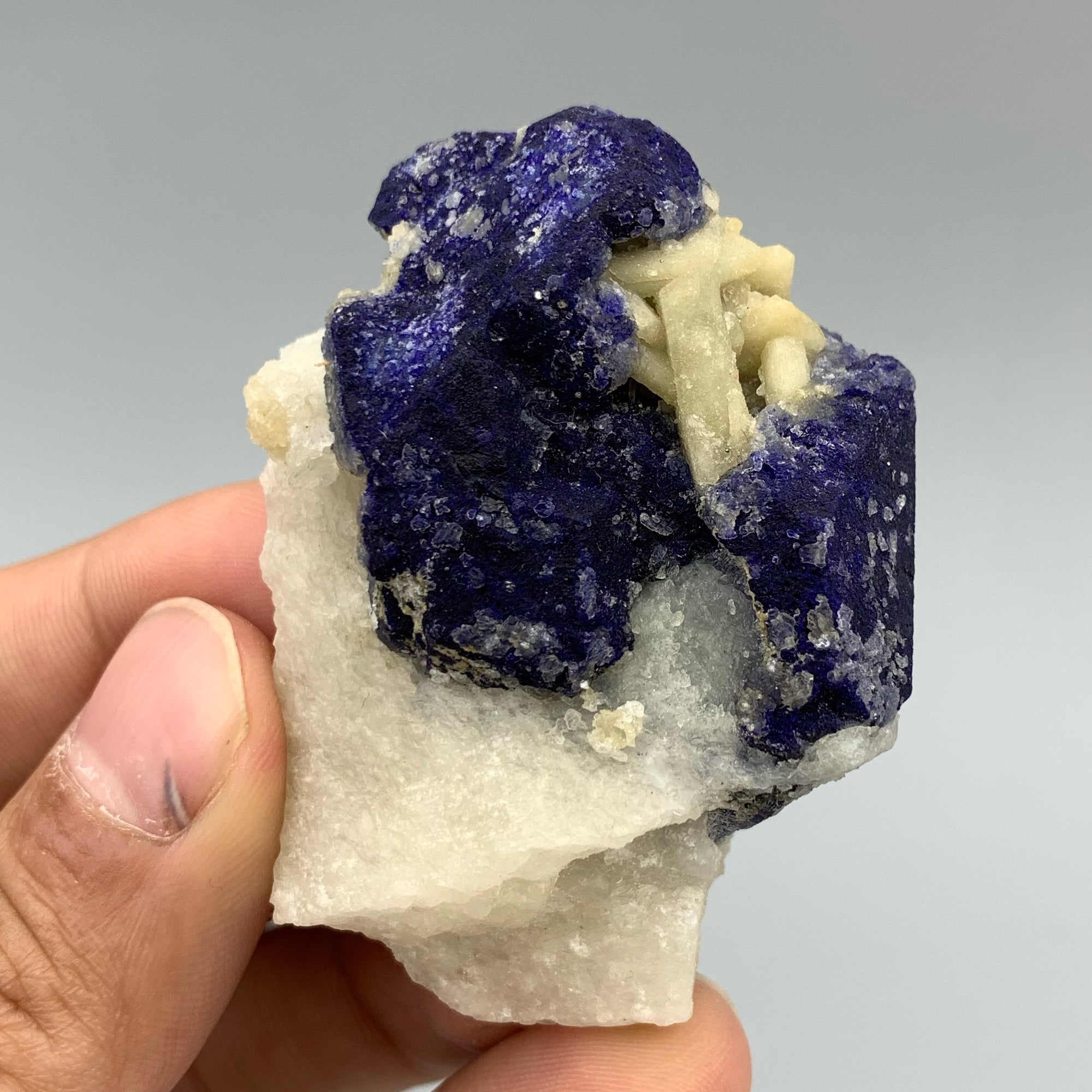 Impressive Azure Blue Lazurite Crystal On Calcite Matrix