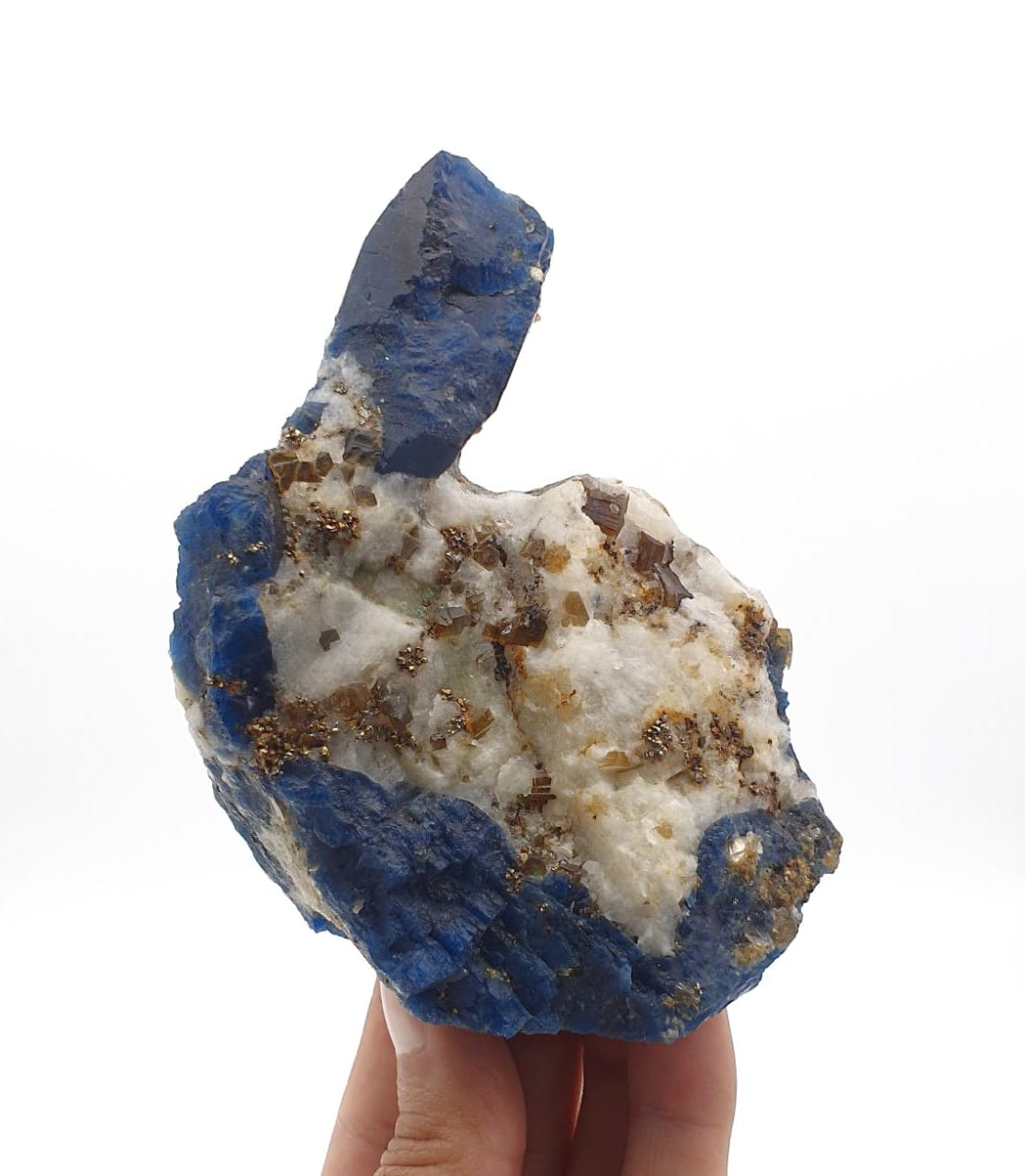Impressive Size Sapphire Blue Lazurite on Matrix with Calcite and Pyrite
