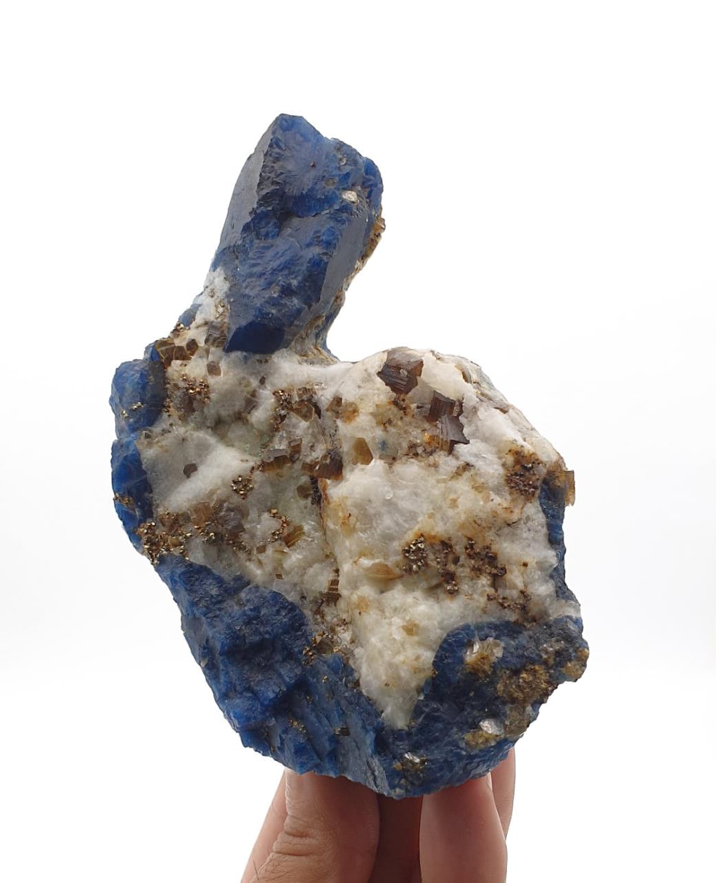 Impressive Size Sapphire Blue Lazurite on Matrix with Calcite and Pyrite