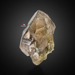 Impressive Smoky Quartz With Brownish Mica Inclusion