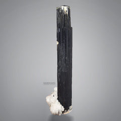 Ink Black Schorl Crystal with Cleavelandite