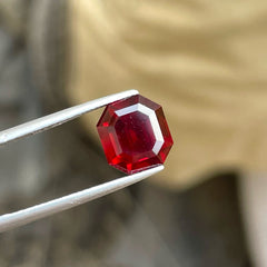 Garnet Gemstone