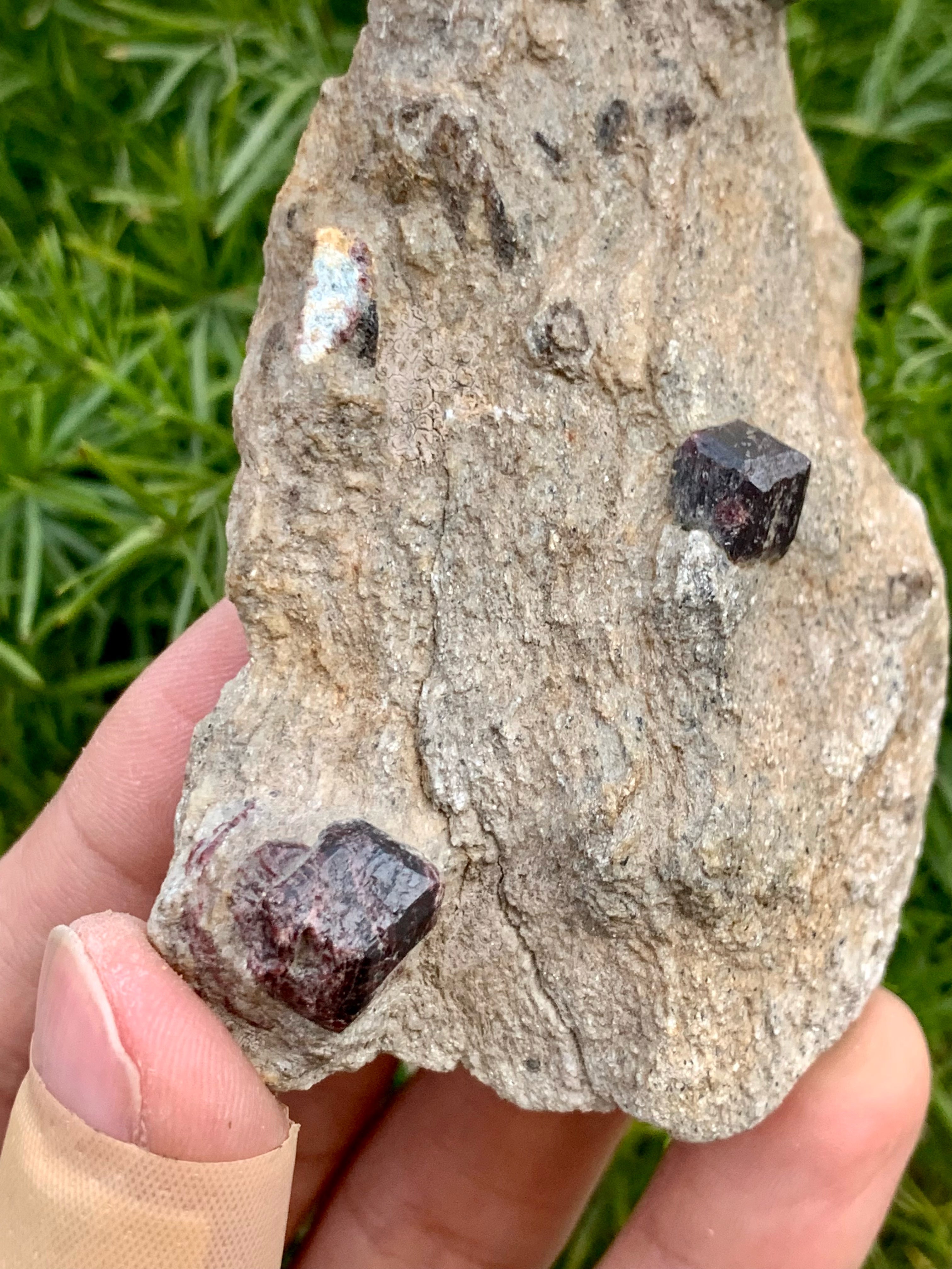 Isolated Almandine Garnet Crystals On Muscovite Mica Matrix
