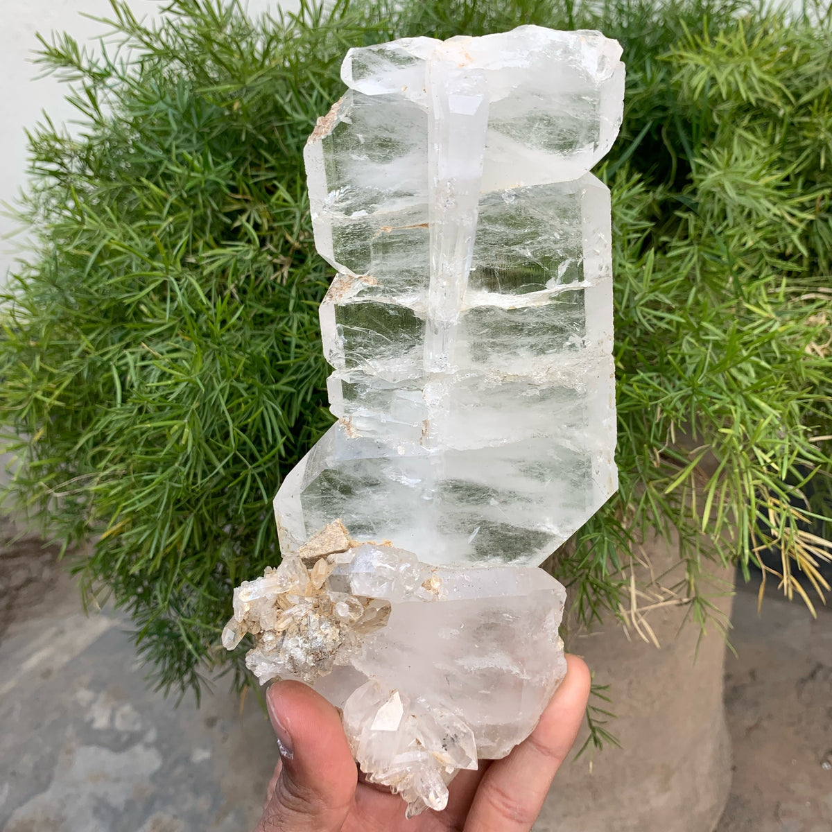 Large Cabinet Size Faden Quartz With Tabular Crystal Formation