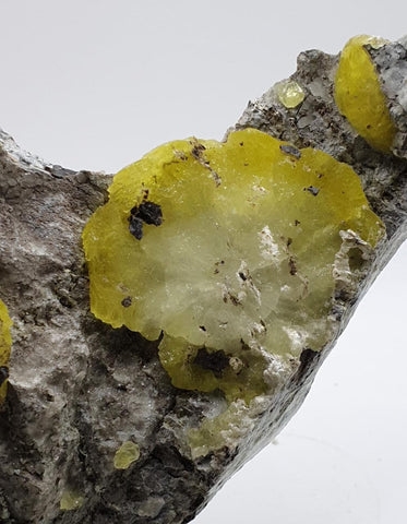 Lemon-Yellow Brucite Crystals On Silvery White Chromite Matrix