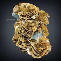 Light Blue Aquamarine Specimen covered by Muscovite Roses