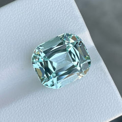 Pakistani Aquamarine