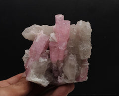 Lighter Pink Elongated Tourmaline Crystals Nicely Arranged on Smokey Quartz