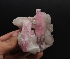 Lighter Pink Elongated Tourmaline Crystals Nicely Arranged on Smokey Quartz