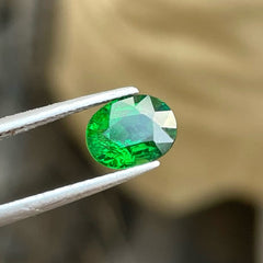 Lincoln Green Tsavorite Garnet