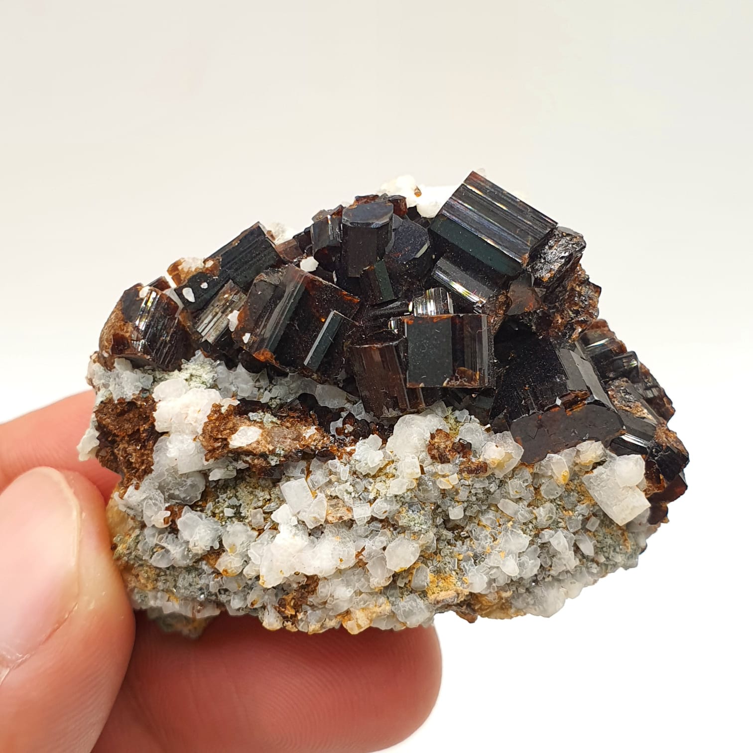 Luster Intergrown Crystals Of Vesuvianite On Contrasting White Matrix