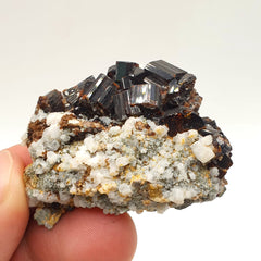 Luster Intergrown Crystals Of Vesuvianite On Contrasting White Matrix
