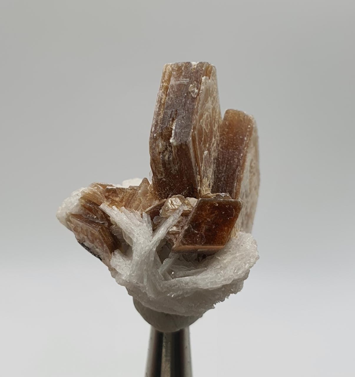 Lovely And Aesthetic Golden Muscovite Mica On Cleavelandite