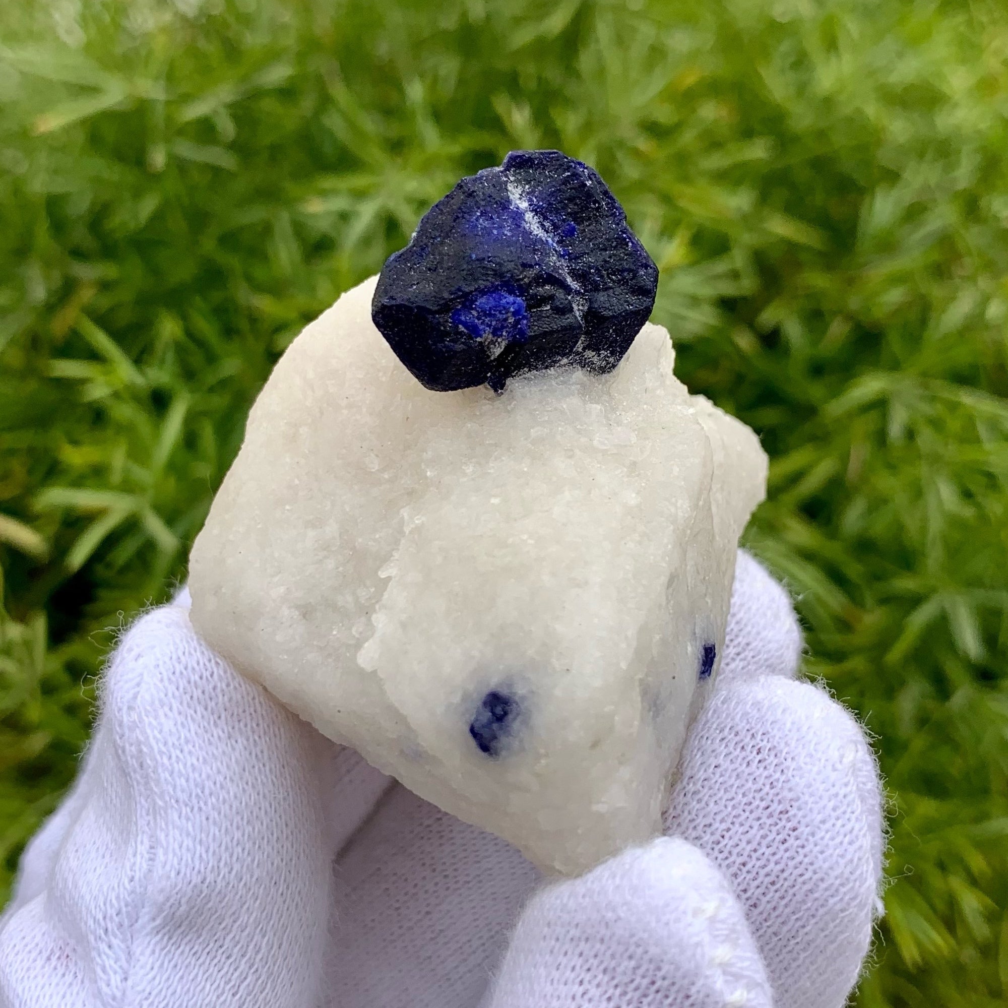 Lovely Azure Blue Lazurite Focal Crystal On Creamy White Calcite Matrix