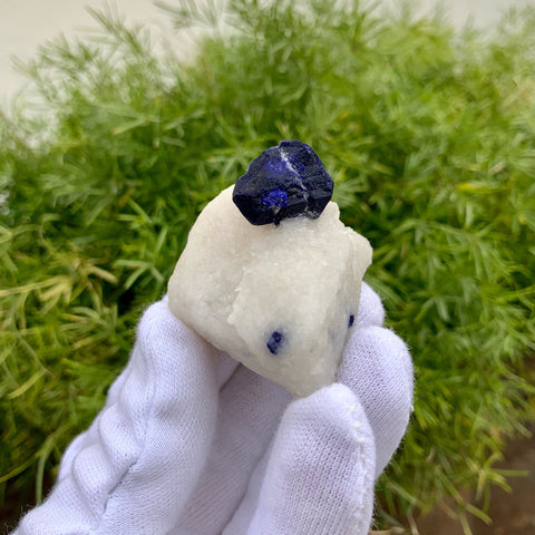 Lovely Azure Blue Lazurite Focal Crystal On Creamy White Calcite Matrix