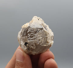 Lovely Double Terminated Bicolor Tourmaline on Smokey Quartz