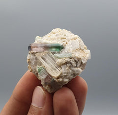 Lovely Double Terminated Bicolor Tourmaline on Smokey Quartz