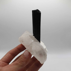 Lovely Elongated Schorl Standing tall on Smokey Quartz with Cleavelandite