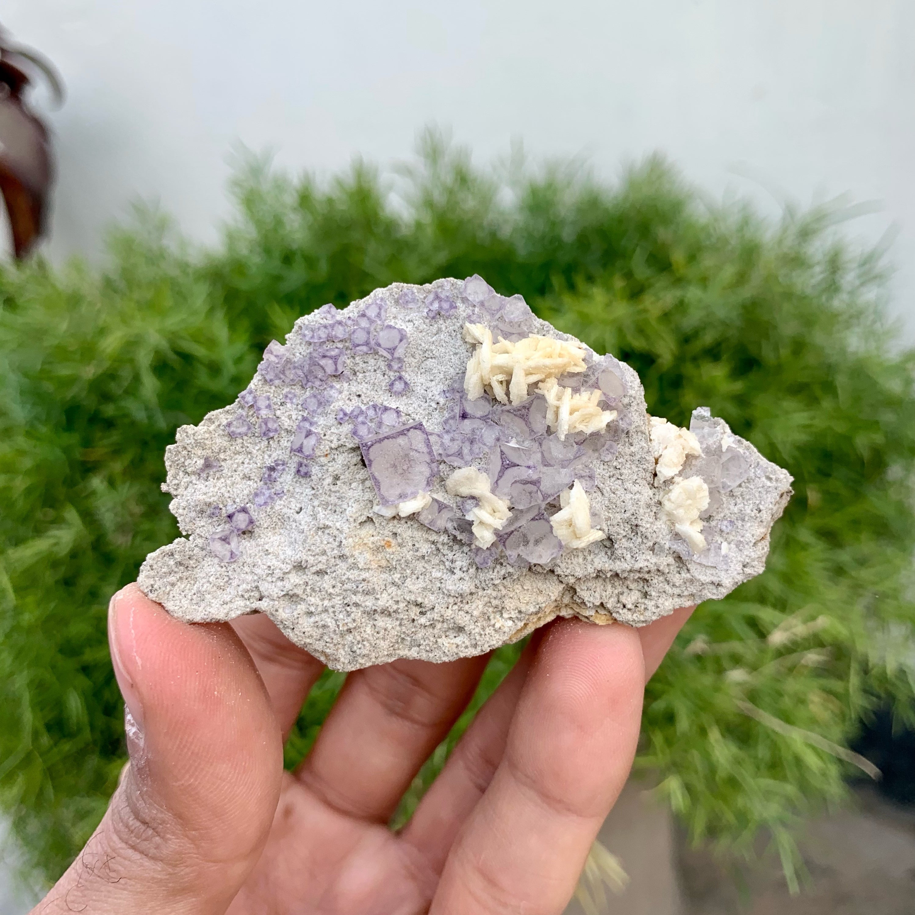 Lovely Fluorite Crystals Nicely Positioned On Matrix With Dolomite