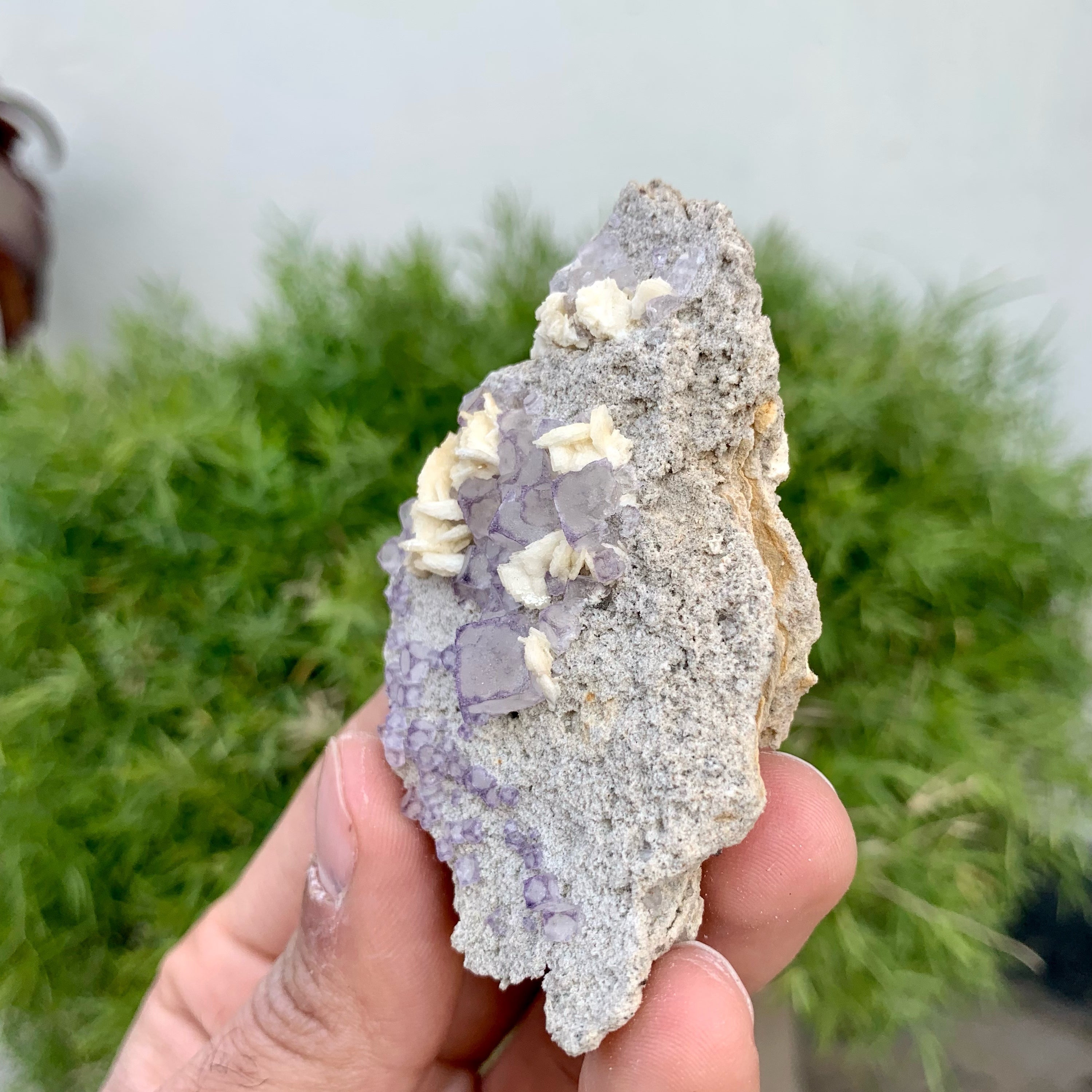 Lovely Fluorite Crystals Nicely Positioned On Matrix With Dolomite